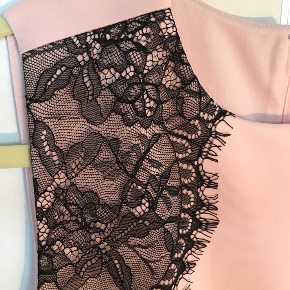 WHBM Sleeveless Blush Pink Lace-Trim Fit & Flare Bodycon Dress Sz 4 - Picture 4 of 4